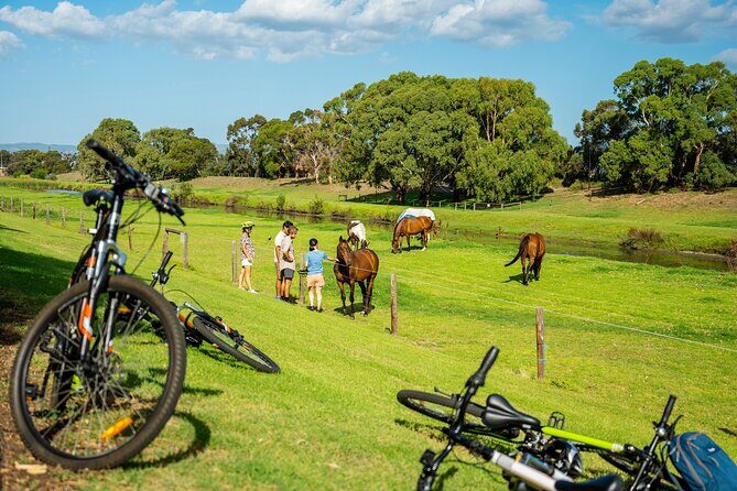 Adelaide City to Sea Bike Tour - Frequently Asked Questions