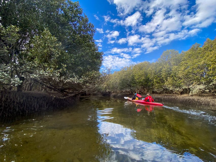 Adelaide: Dolphin Sanctuary 1 or 2-Person Kayak Rental - Booking Information