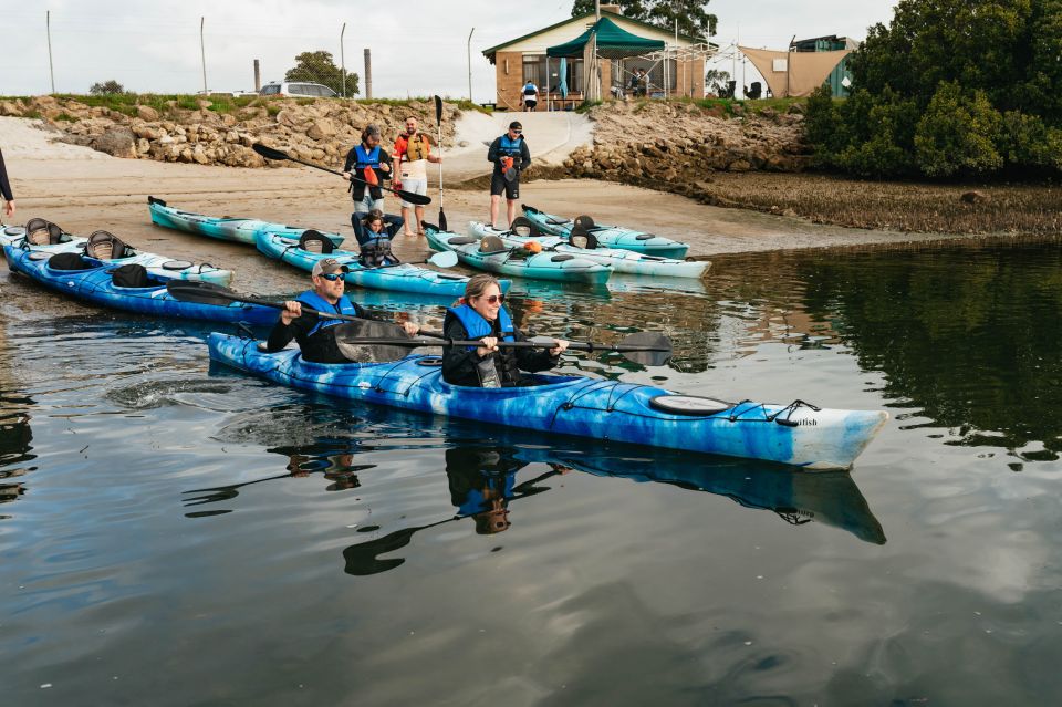 Adelaide: Dolphin Sanctuary Eco Kayaking Tour - What to Bring