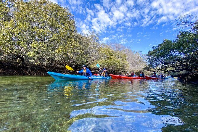 Adelaide Dolphin Sanctuary Mangroves Kayaking Tour - Frequently Asked Questions