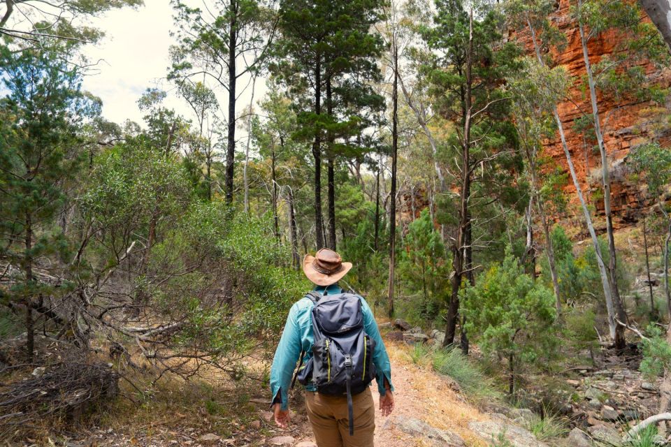 Adelaide: Eyre Peninsula and Flinders Ranges Adventure Trip - Customer Reviews