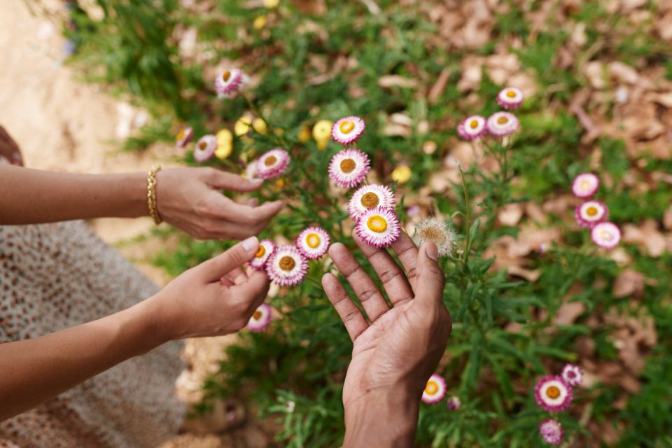 Adelaide: Guided Cultural Tour of Adelaide Botanic Garden - Important Information
