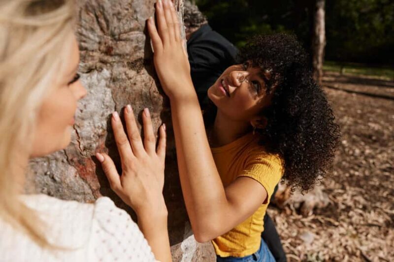 Adelaide: Guided Warriparinga Cultural and Historical Tour - Key Points