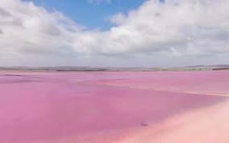 Adelaide Highlights: Wine, Whispering Wall & Pink Lake Tour - Key Points