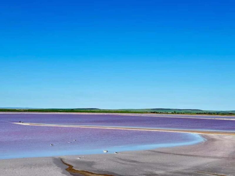 Adelaide Highlights: Wine, Whispering Wall & Pink Lake Tour - Exploring the Adelaide Highlights Tour