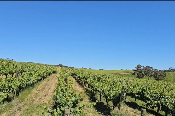 Adelaide Hills Divine Wine Tour - Frequently Asked Questions