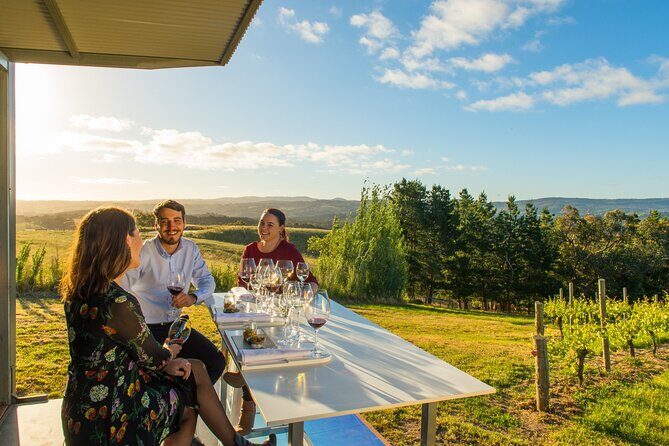 Adelaide Hills Full Day Wine Tour - Who Should Consider This Tour?