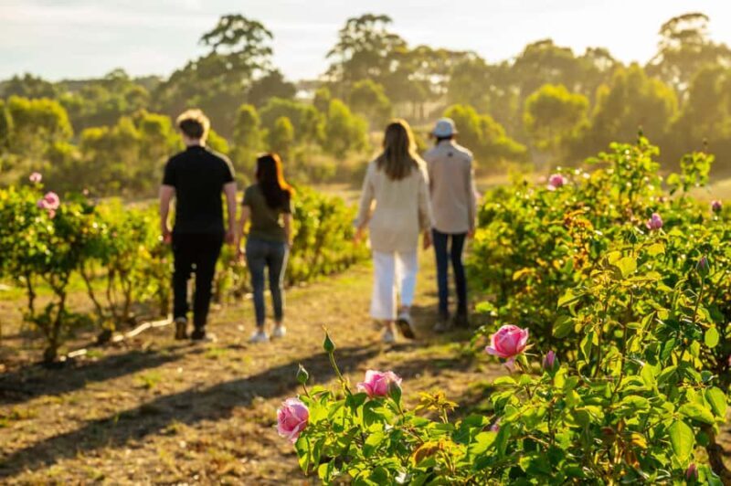 Adelaide Hills: Jurlique Farm Tour - Introduction: A Natural Oasis with Authentic Charm