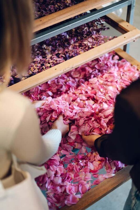 Adelaide Hills: Jurlique Private Immersion - An In-Depth Look at the Jurlique Private Immersion Tour