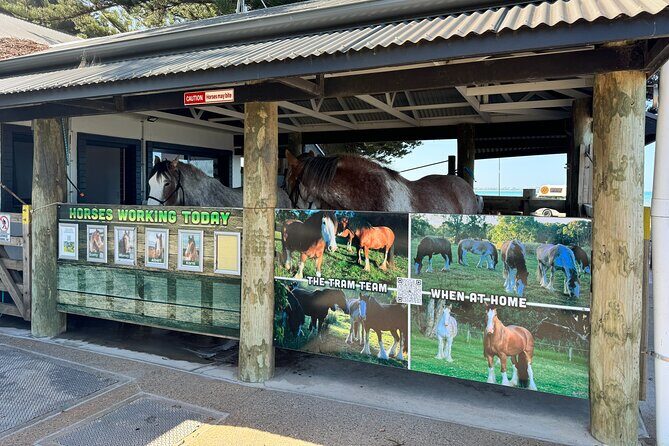 Adelaide Hills Private Day Tour - What the Reviews Say