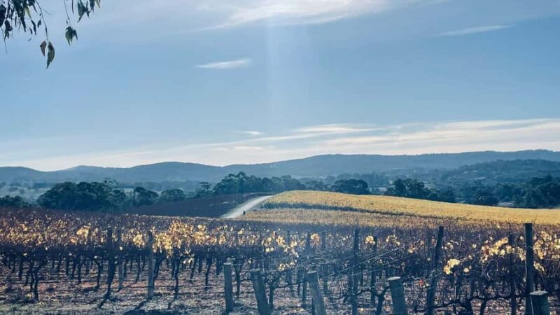 Adelaide Hills Tour - Who Should Take This Tour?