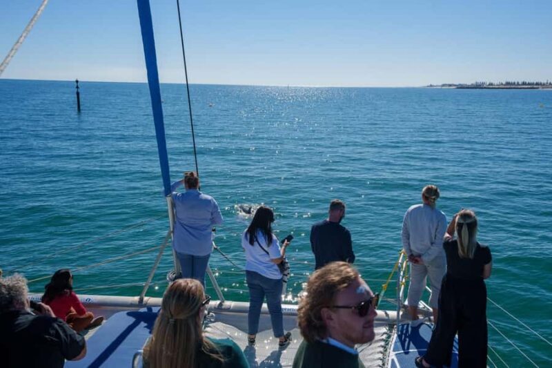 Adelaide: Kauwi Cultural Cruise - The Experience’s Strengths and Considerations