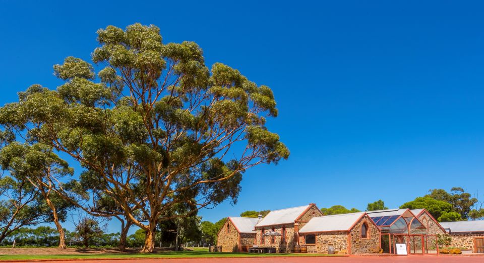 Adelaide: McLaren Vale and Glenelg Wine Tasting Tour - Key Points