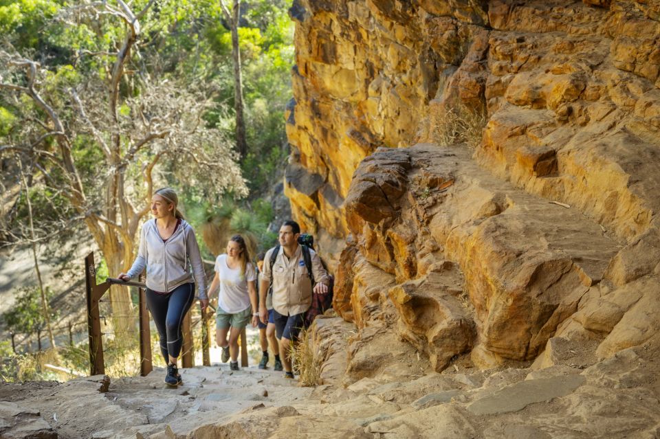 Adelaide: Morialta Wilderness and Wildlife Hike - Reviews