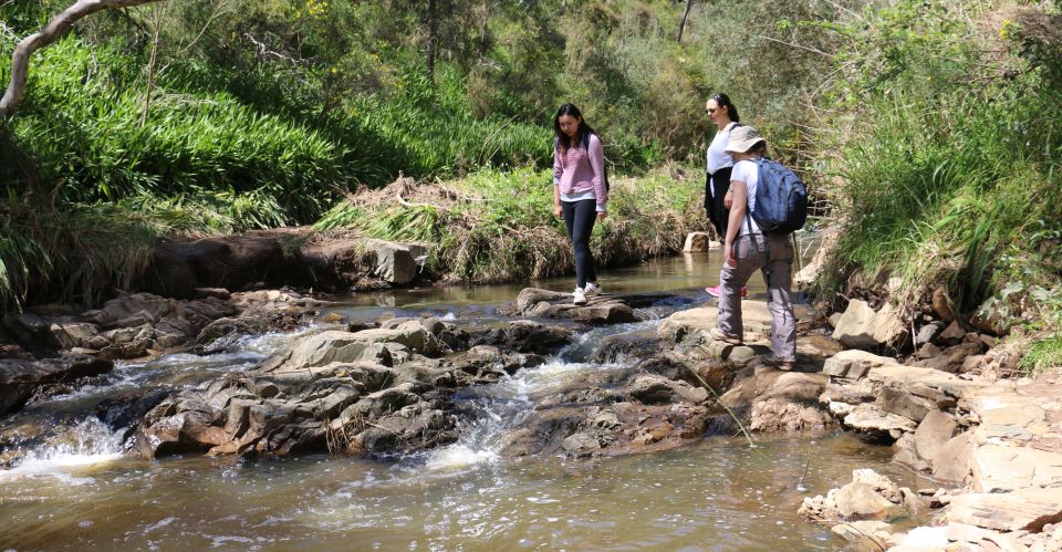 Adelaide: Morialta Wilderness and Wildlife Hike - Frequently Asked Questions