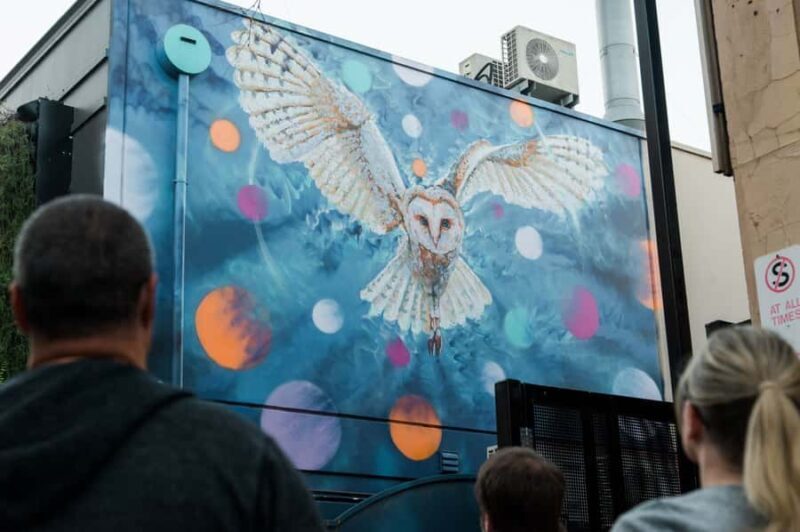 Adelaide: Paint and Palate Street Art Tour - Exploring Adelaides Street Art Scene with Flamboyance Tours