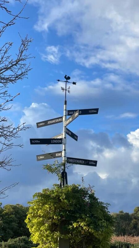 Adelaide: Private Boutique Wine Tasting & Sightseeing Tour - A Closer Look at the Tour Experience