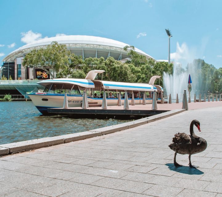 Adelaide: River Torrens Popeye Devonshire Tea Cruise - Meeting Point