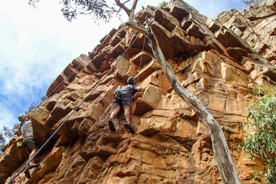 Adelaide: Rock Climbing and Abseiling Experience in Morialta - Key Points