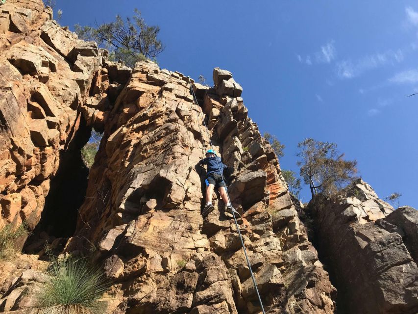 Adelaide: Rock Climbing and Abseiling Experience in Morialta - Experience Highlights