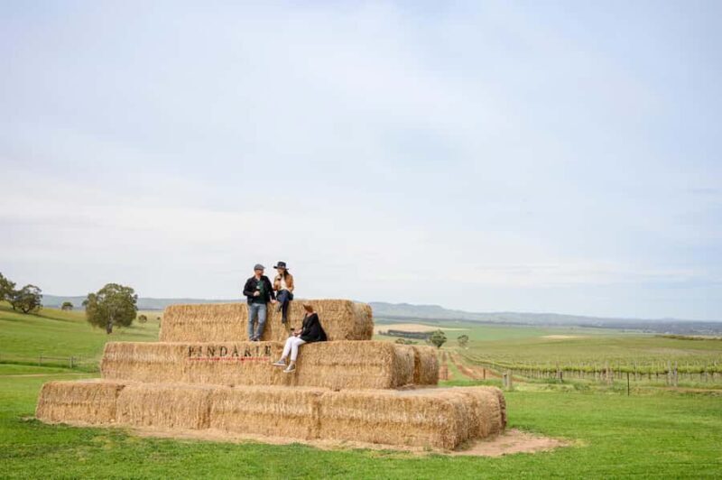 Adelaide: Small Group Tour of Barossa, Wineries with Lunch - The Value Proposition