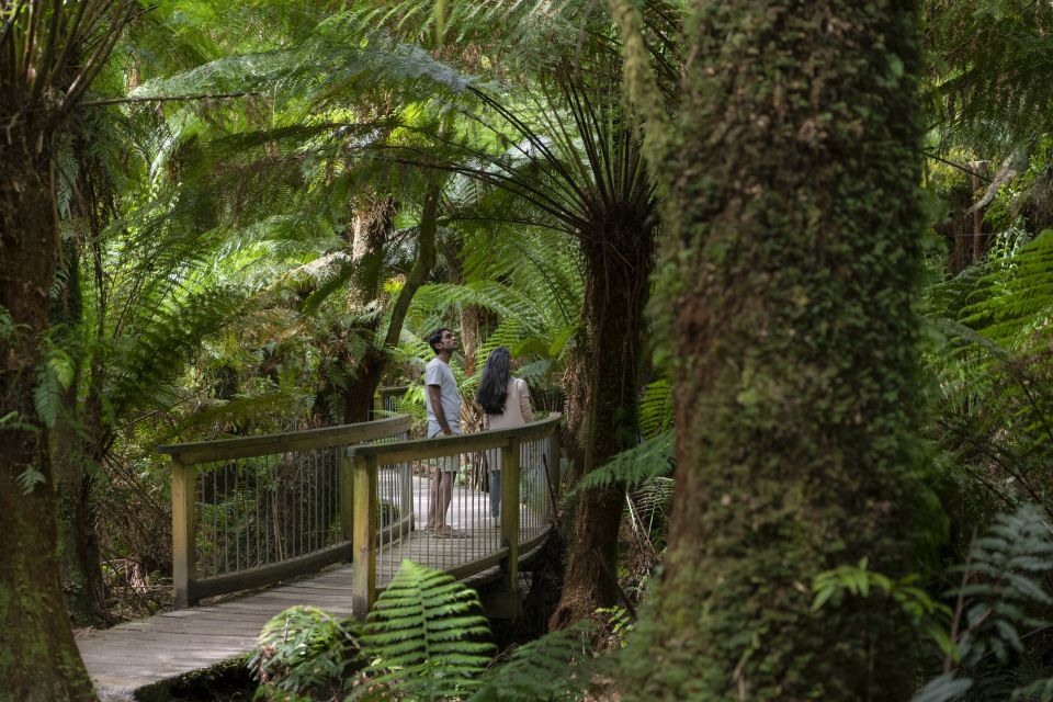 Adelaide to Melbourne: 3-Day Ultimate Overland Journey - Customer Reviews