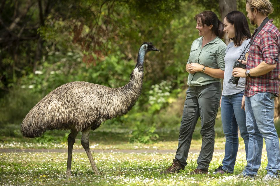 Adelaide to Melbourne: 3-Day Ultimate Overland Journey - Frequently Asked Questions