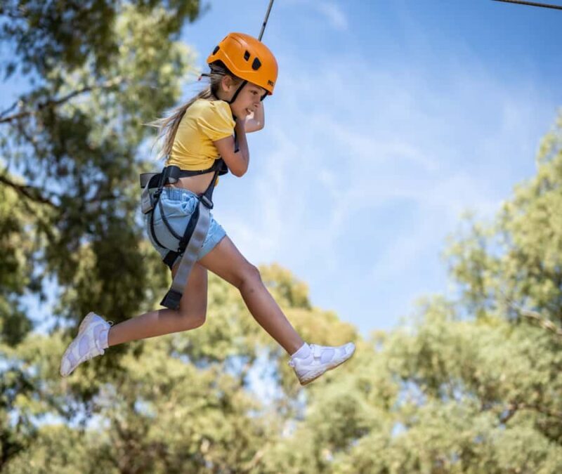 Adelaide: TreeClimb Adelaide Climb For Little Adventurers - What Do Kids Experience During the Climb?