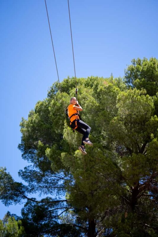 Adelaide: TreeClimb Adventure - Key Points
