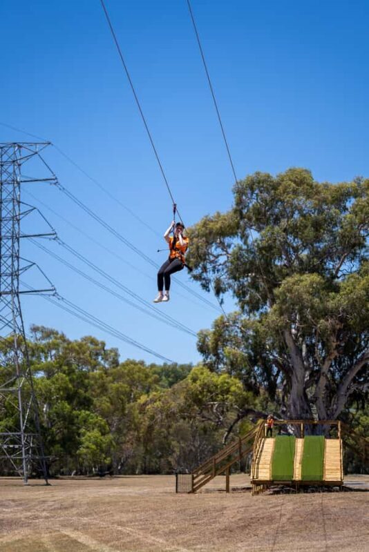 Adelaide: TreeClimb Adventure - Authentic Traveler Insights & Reviews
