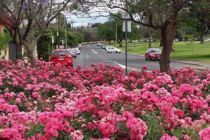 Adelaide Walking Tour: Hills, Squares and Parklands - Who Should Book This Tour?