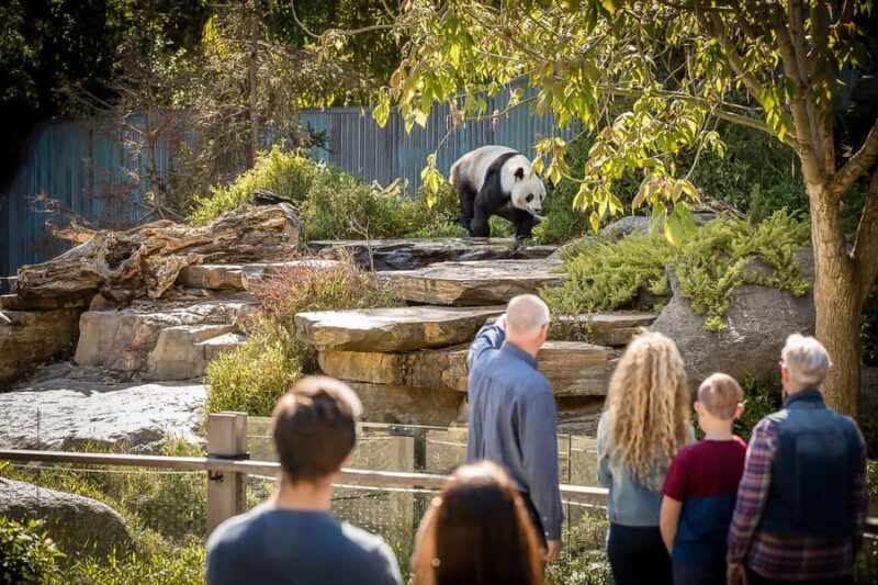 Adelaide Zoo: General Admission Tickets - Who Should Visit Adelaide Zoo?