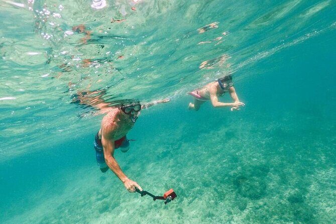 Admission Ticket to Coral World & Coki Point Beach with Snorkeling - The Experience from Reviews: What Travelers Say