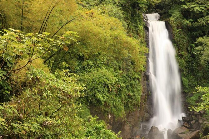 Admission Ticket to Trafalgar Falls (Premium Site) - Good To Know