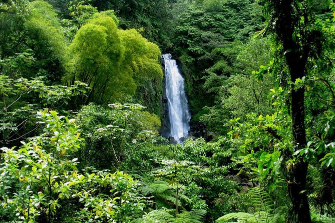 Admission Ticket to Trafalgar Falls (Premium Site) - Highlights of Trafalgar Falls