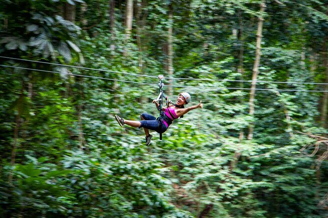 Adrena-Line Zipline, St. Lucia - Key Points