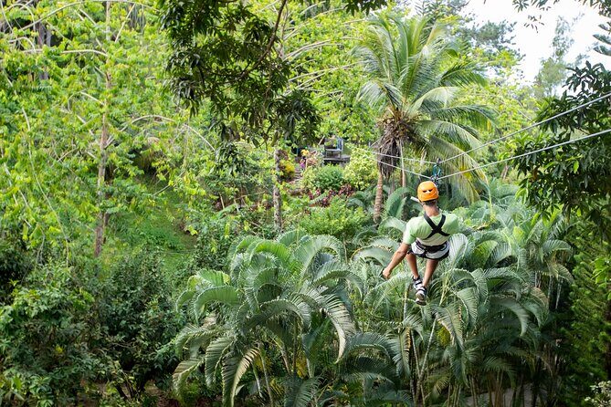Adrena-Line Zipline, St. Lucia - The Realities of the Experience: Reviews and Insights