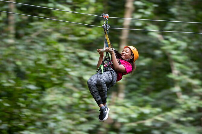 Adrena-Line Zipline, St. Lucia - The Cost and Value Proposition