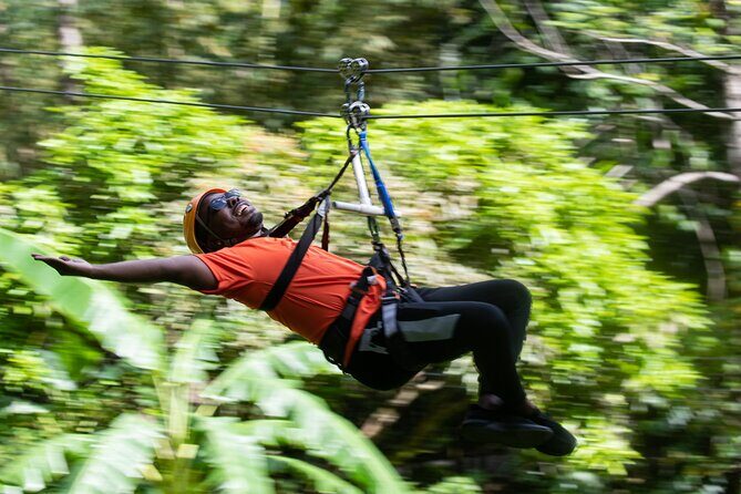 Adrena-Line Zipline, St. Lucia - Who Should Consider This Tour?