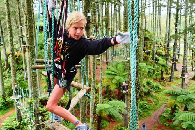 Adrenalin Forest Obstacle Course in the Bay of Plenty - Tips for a Great Experience