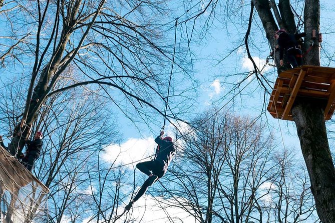 Adult Daily Ticket for Adventure Park in Gravedona - Visitor Ratings and Feedback