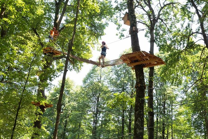 Adult Daily Ticket for Adventure Park in Gravedona - Target Audience and Suitability