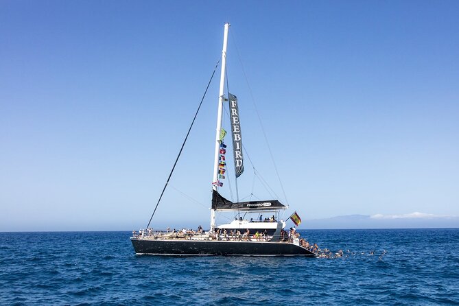 Adults Only Tenerife Freebird Catamaran Review - Key Points