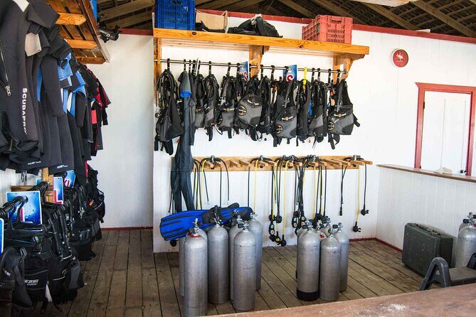 Advanced Open Water Diver - Bávaro - Why Consider the Advance Open Water Course in Bávaro?
