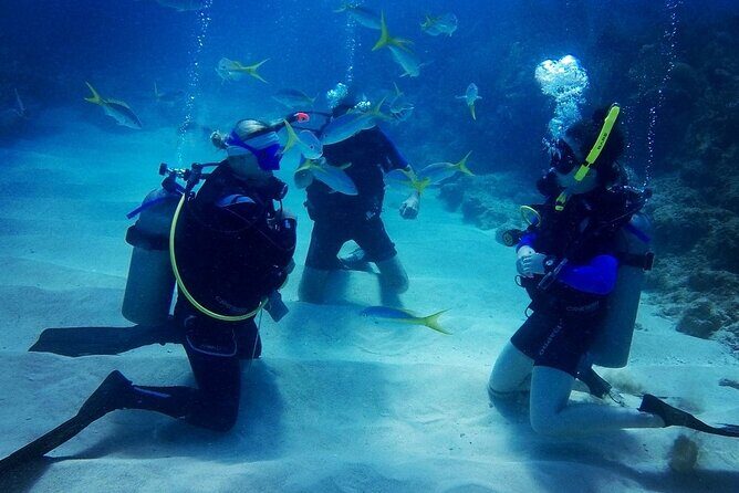 Advanced Open Water Diver - Bávaro - What To Expect From the Diving Experience