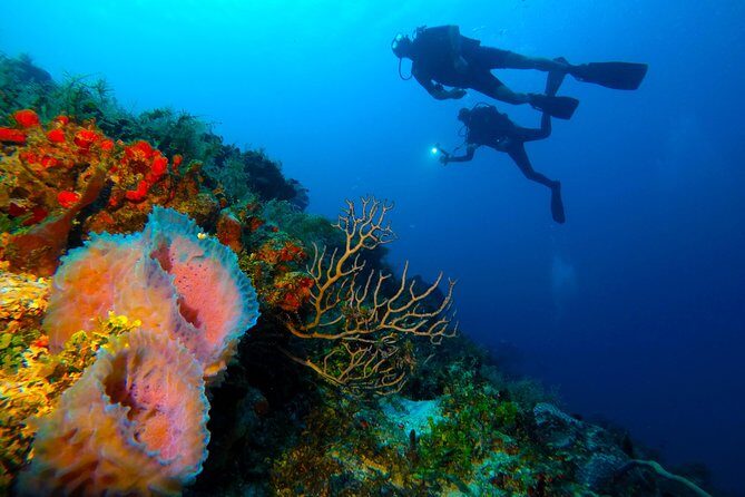 Advanced Open Water Diver course PADI in Playa del Carmen - The Sum Up