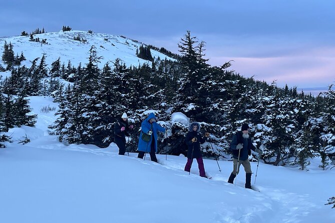 Advanced Snowshoeing Adventure - Pricing and Reviews