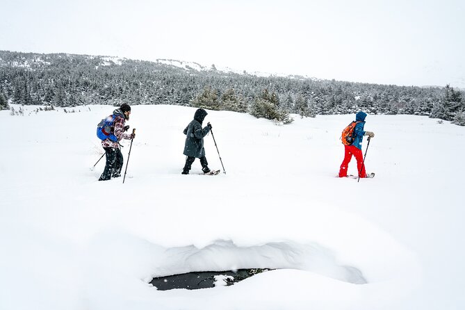 Advanced Snowshoeing Adventure - Preparing for the Adventure