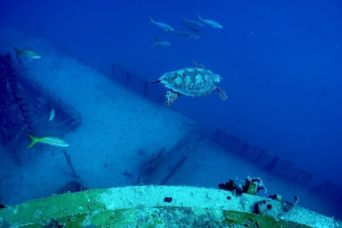 Advanced Wreck Diving at USNS General Hoyt S. Vandenberg - How This Tour Compares to Others