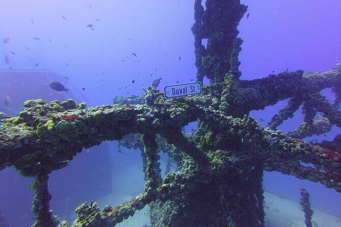 Advanced Wreck Diving at USNS General Hoyt S. Vandenberg - Final Thoughts: Is It Worth Your Time and Money?